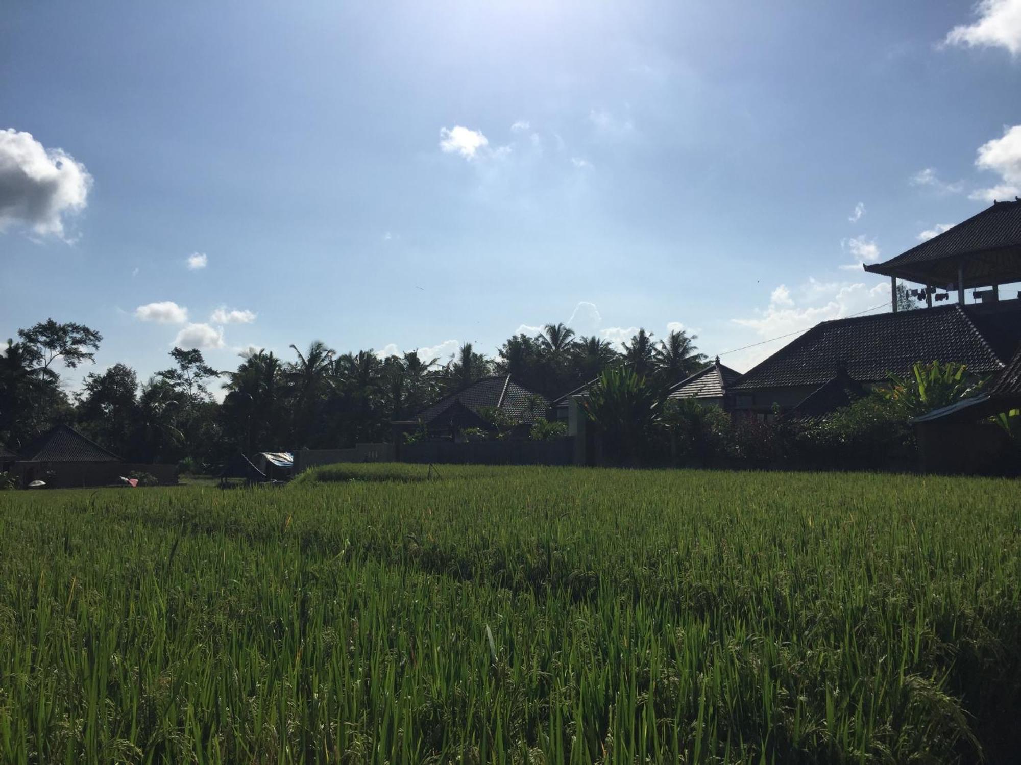 Ratna Villa Ubud Zimmer foto
