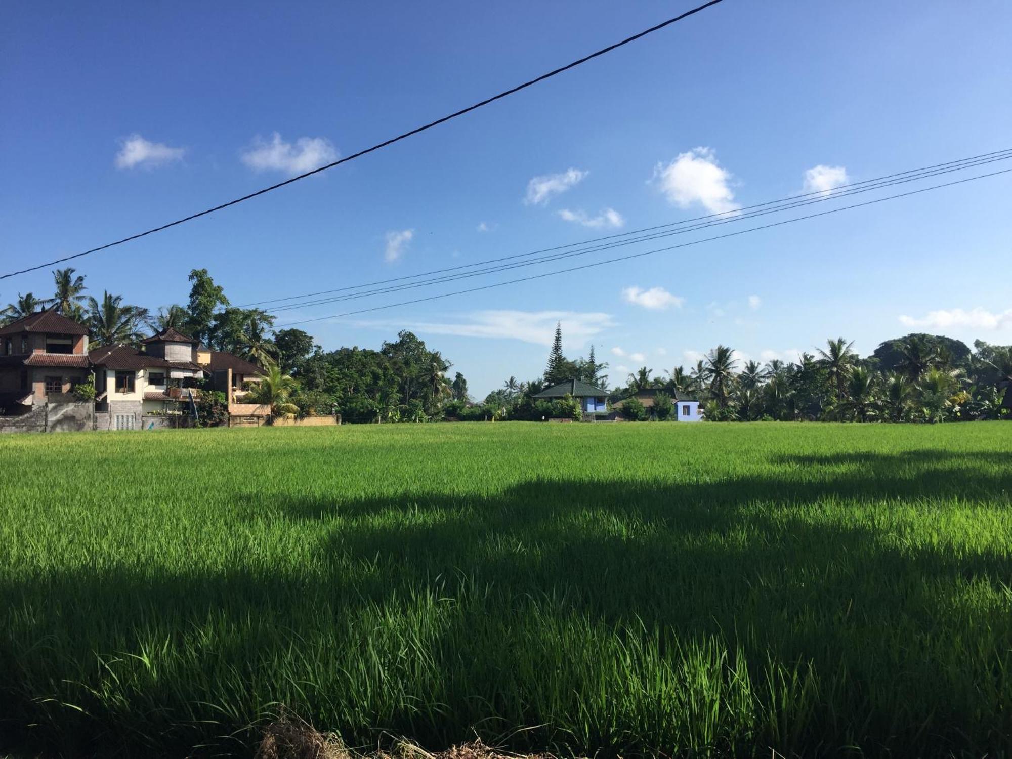 Ratna Villa Ubud Zimmer foto